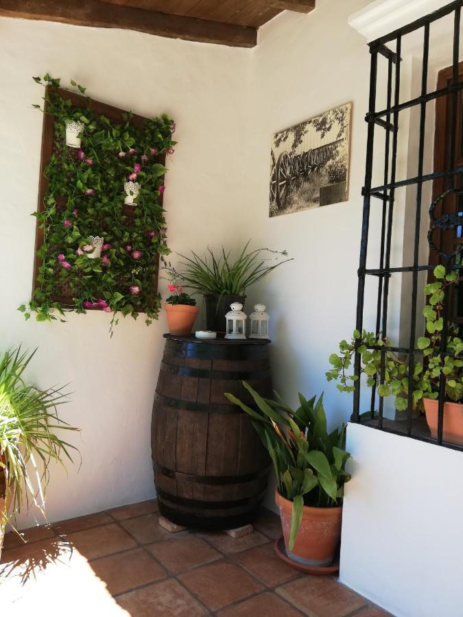 Casa Rural La Maquinilla Grazalema Ngoại thất bức ảnh