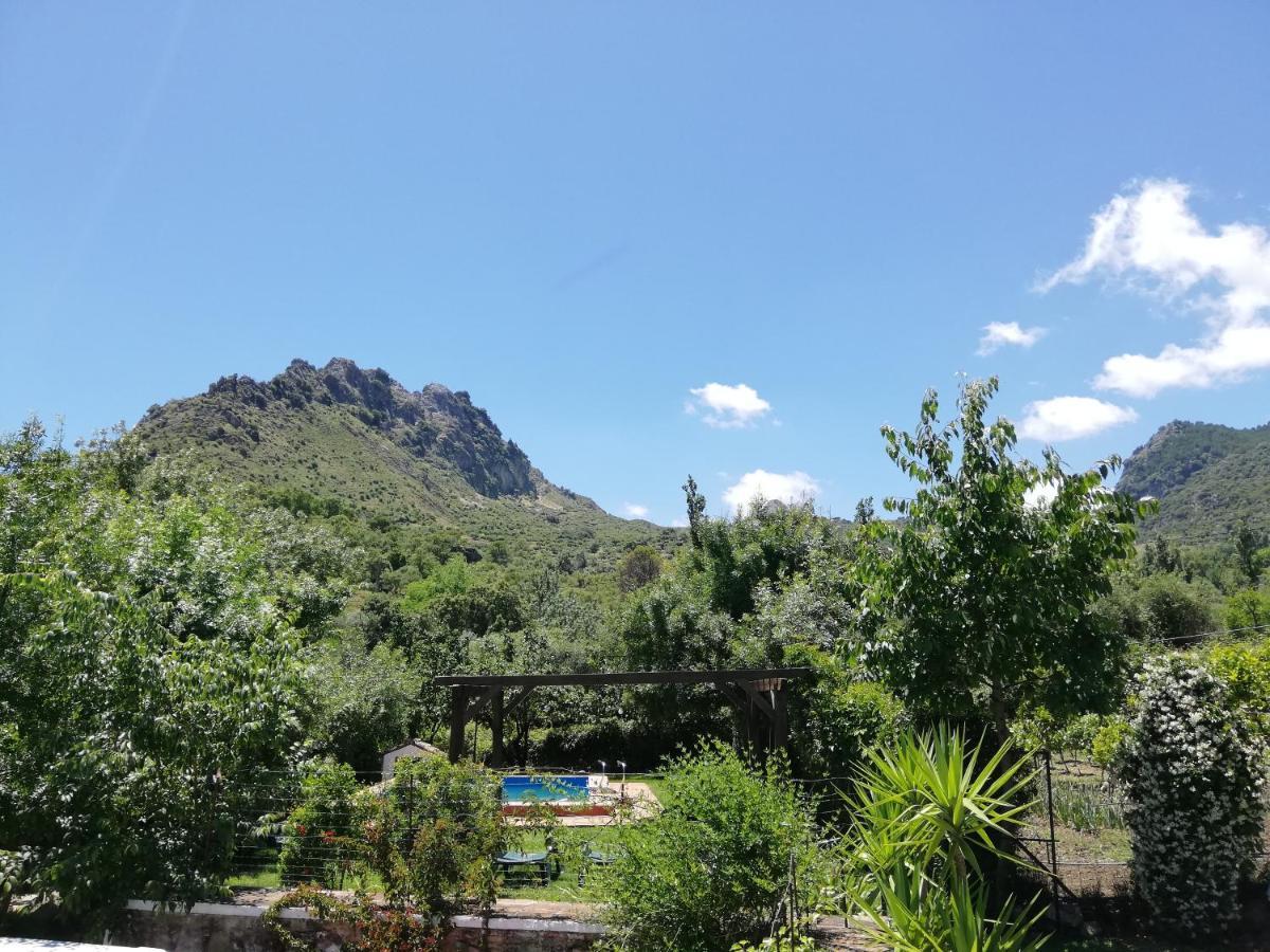 Casa Rural La Maquinilla Grazalema Ngoại thất bức ảnh
