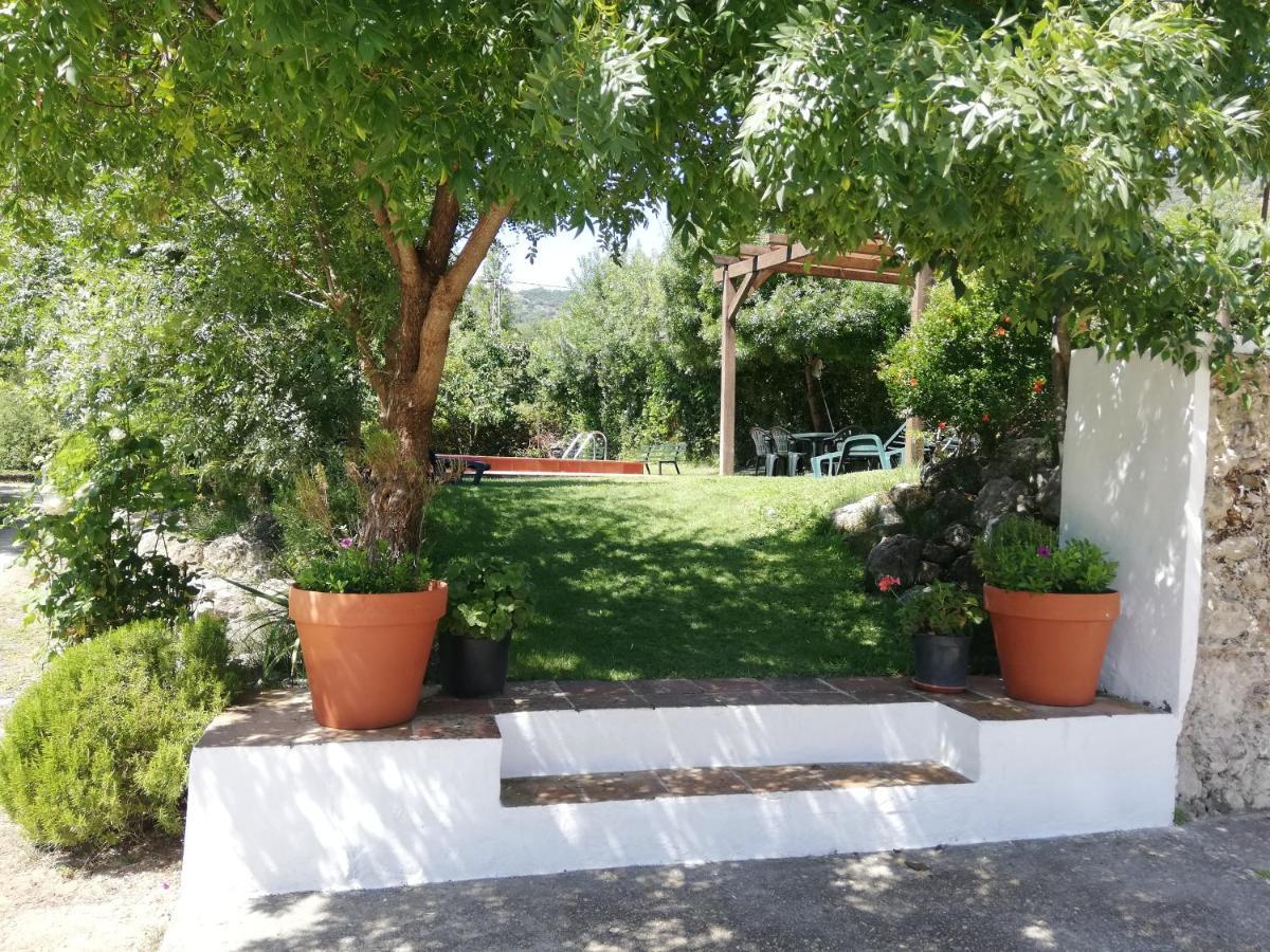 Casa Rural La Maquinilla Grazalema Ngoại thất bức ảnh