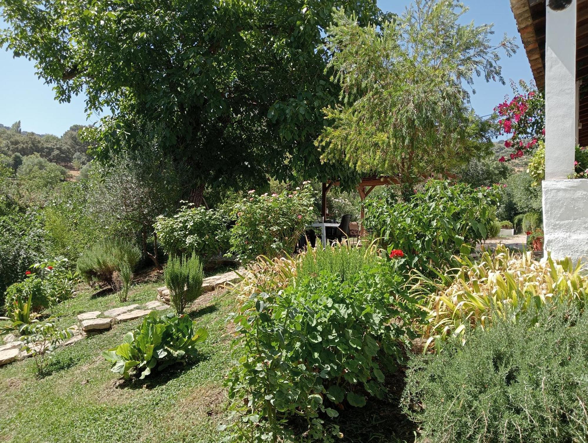 Casa Rural La Maquinilla Grazalema Ngoại thất bức ảnh
