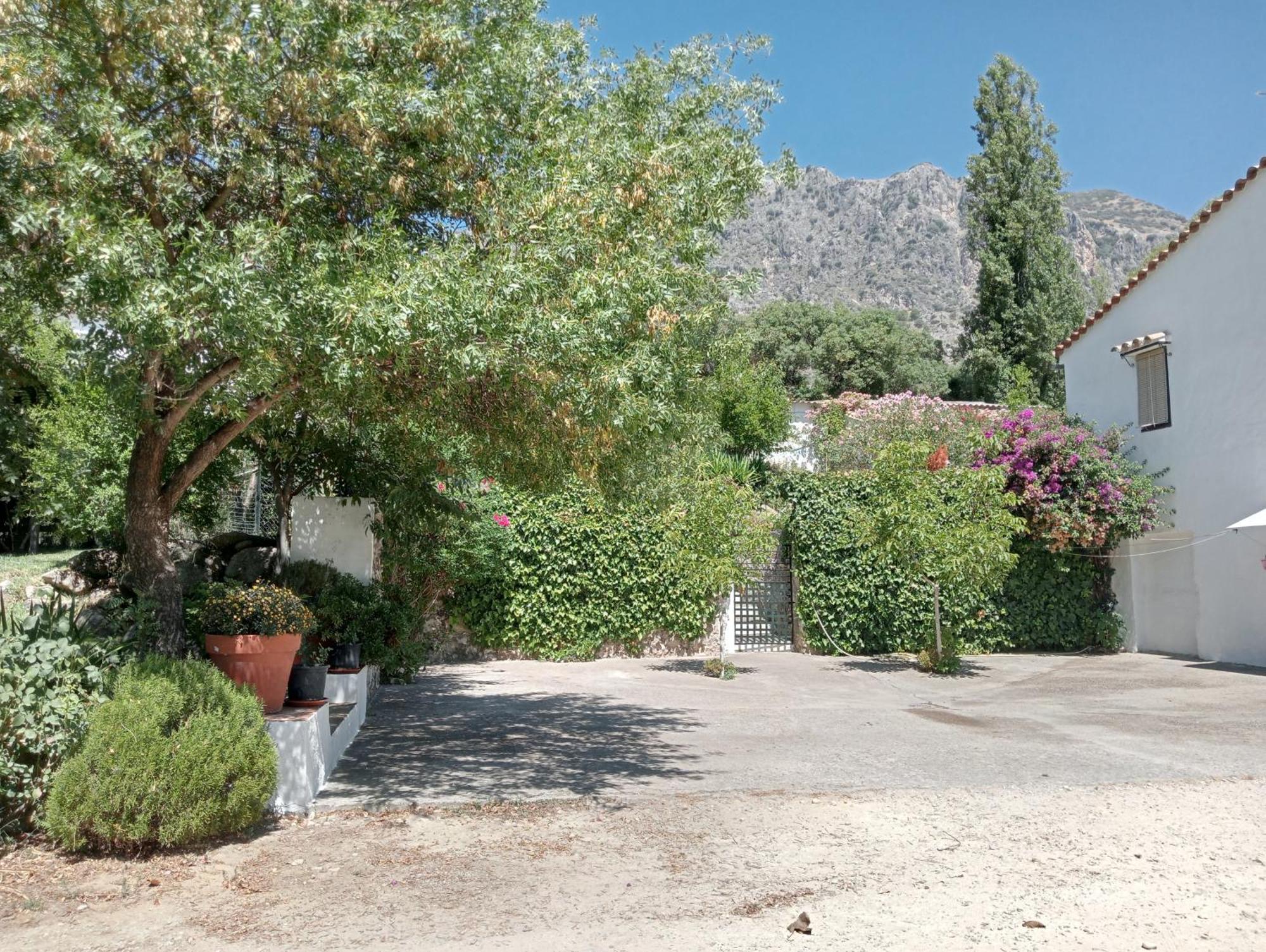 Casa Rural La Maquinilla Grazalema Ngoại thất bức ảnh