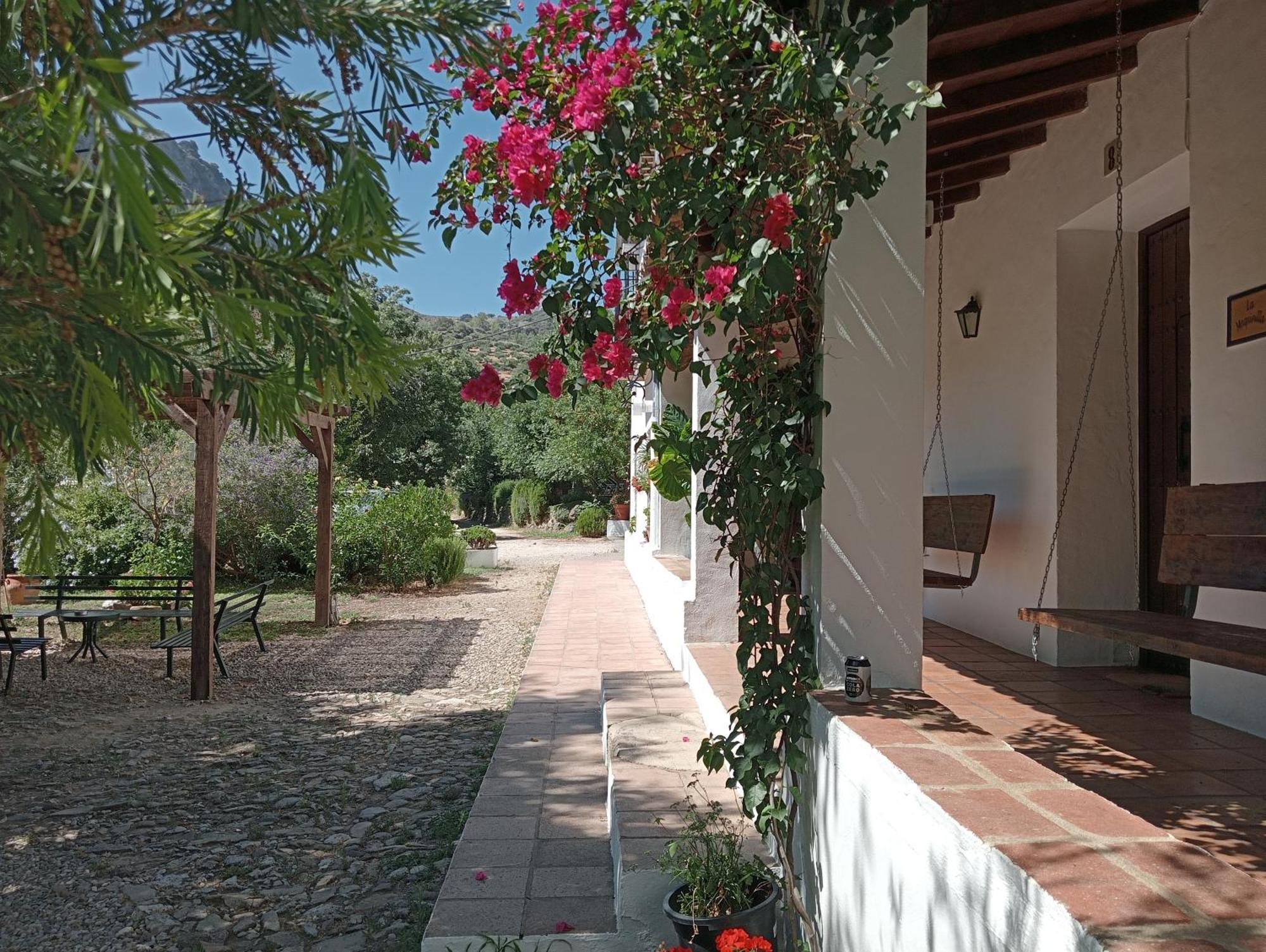 Casa Rural La Maquinilla Grazalema Ngoại thất bức ảnh