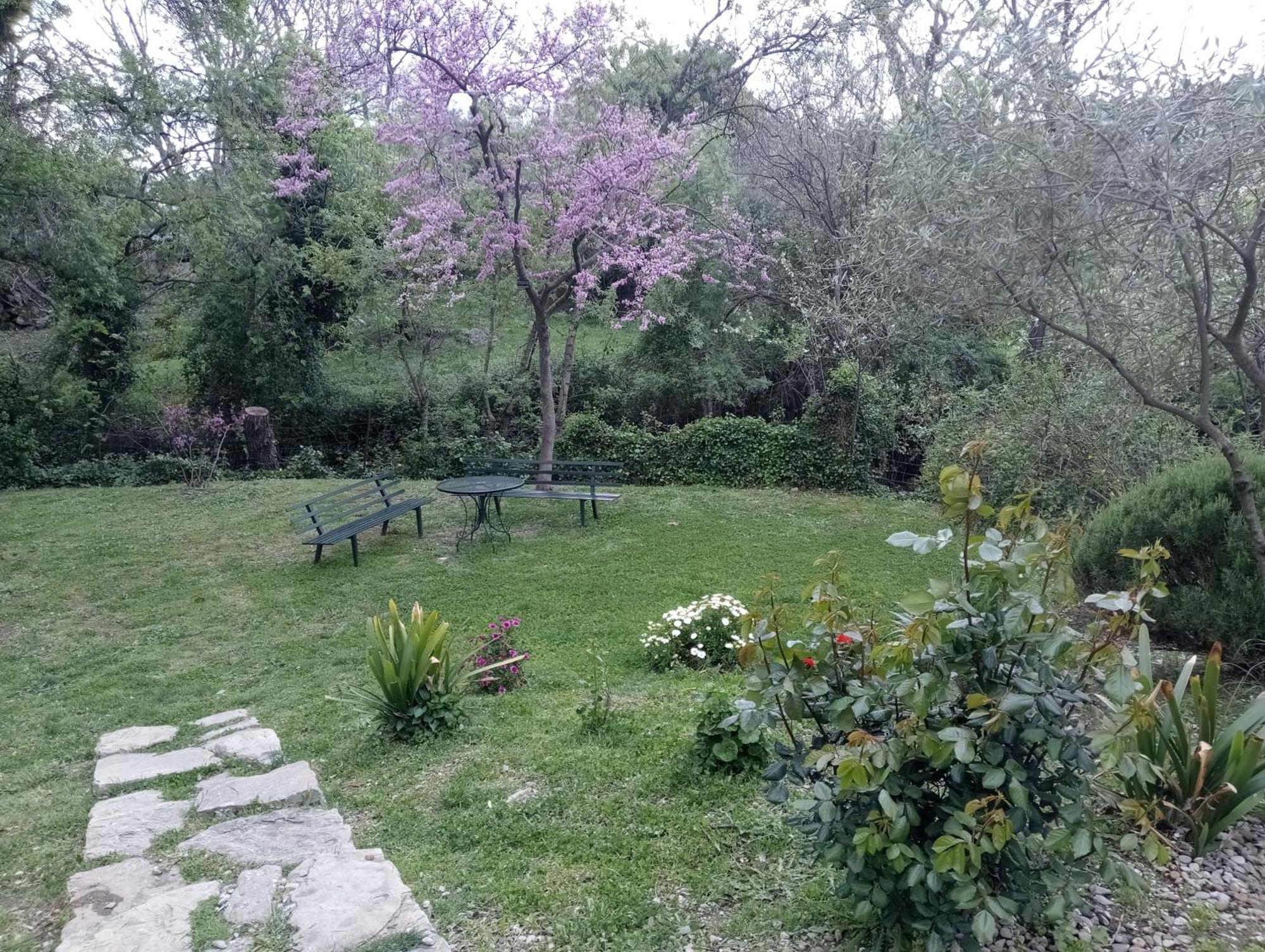 Casa Rural La Maquinilla Grazalema Ngoại thất bức ảnh
