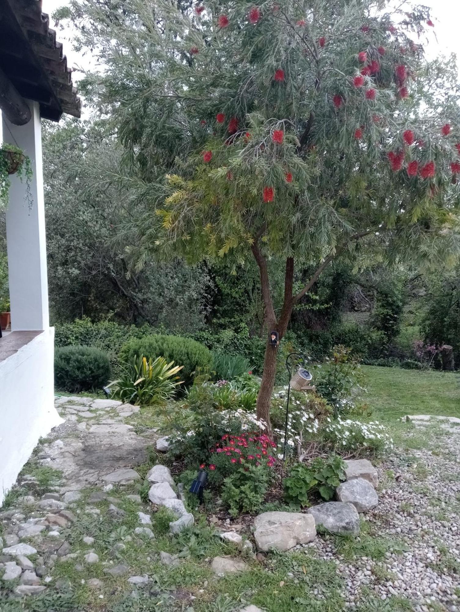 Casa Rural La Maquinilla Grazalema Ngoại thất bức ảnh
