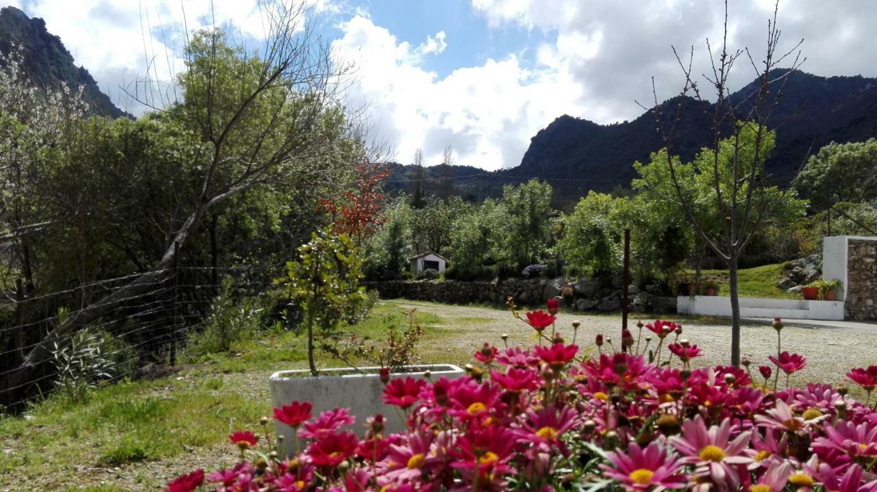 Casa Rural La Maquinilla Grazalema Ngoại thất bức ảnh