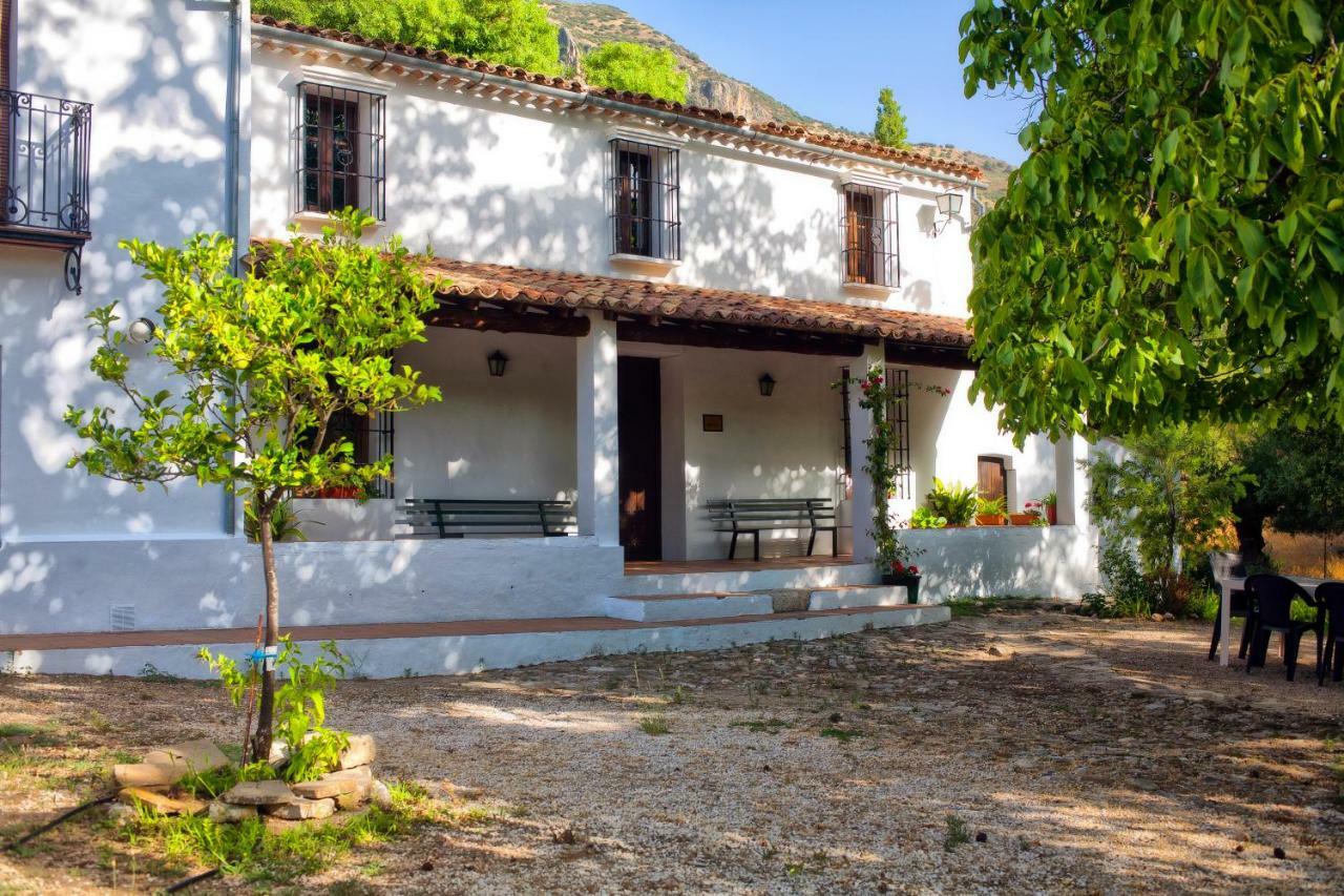 Casa Rural La Maquinilla Grazalema Ngoại thất bức ảnh